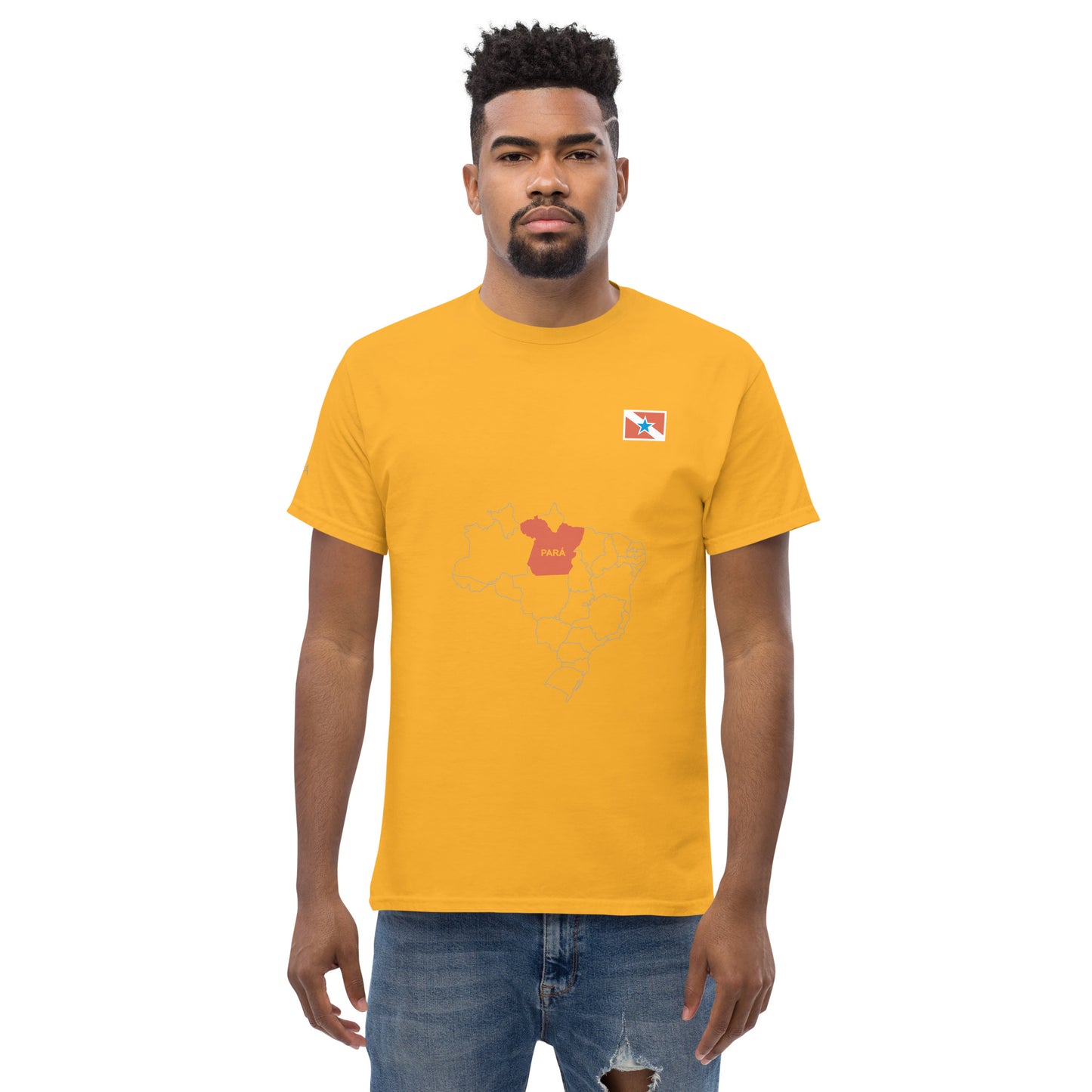 Camiseta Mapa Paraense - Bandeira do Estado do Pará - Brasil - unissex - Roupa Regional Brasileira | Berimba