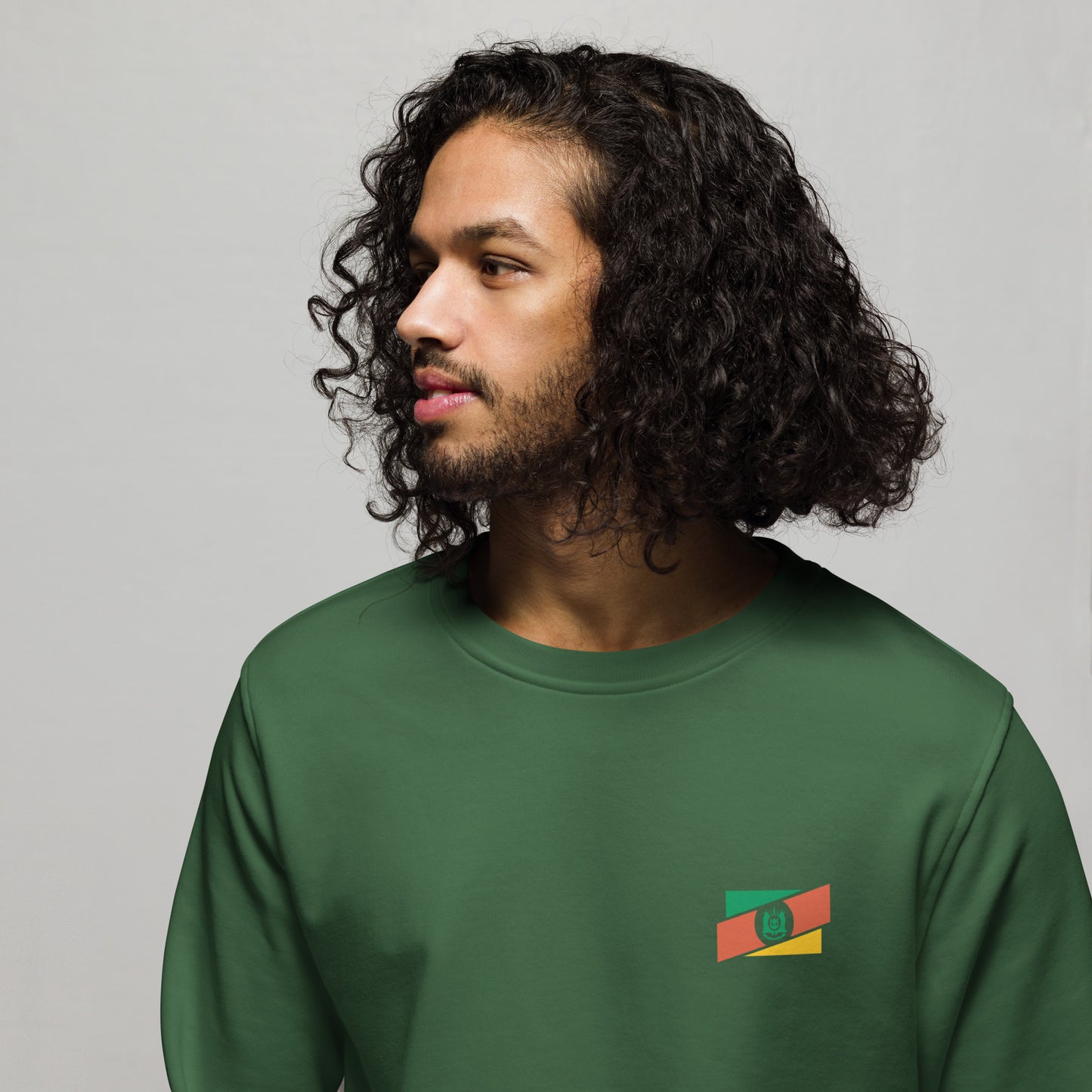 Blusa de Moletom-Suéter / Rio Grande do Sul - Brasil-RS - Gaúchos / unissex / orgânico Tri Legal - Roupa Regional Brasileira | Berimba