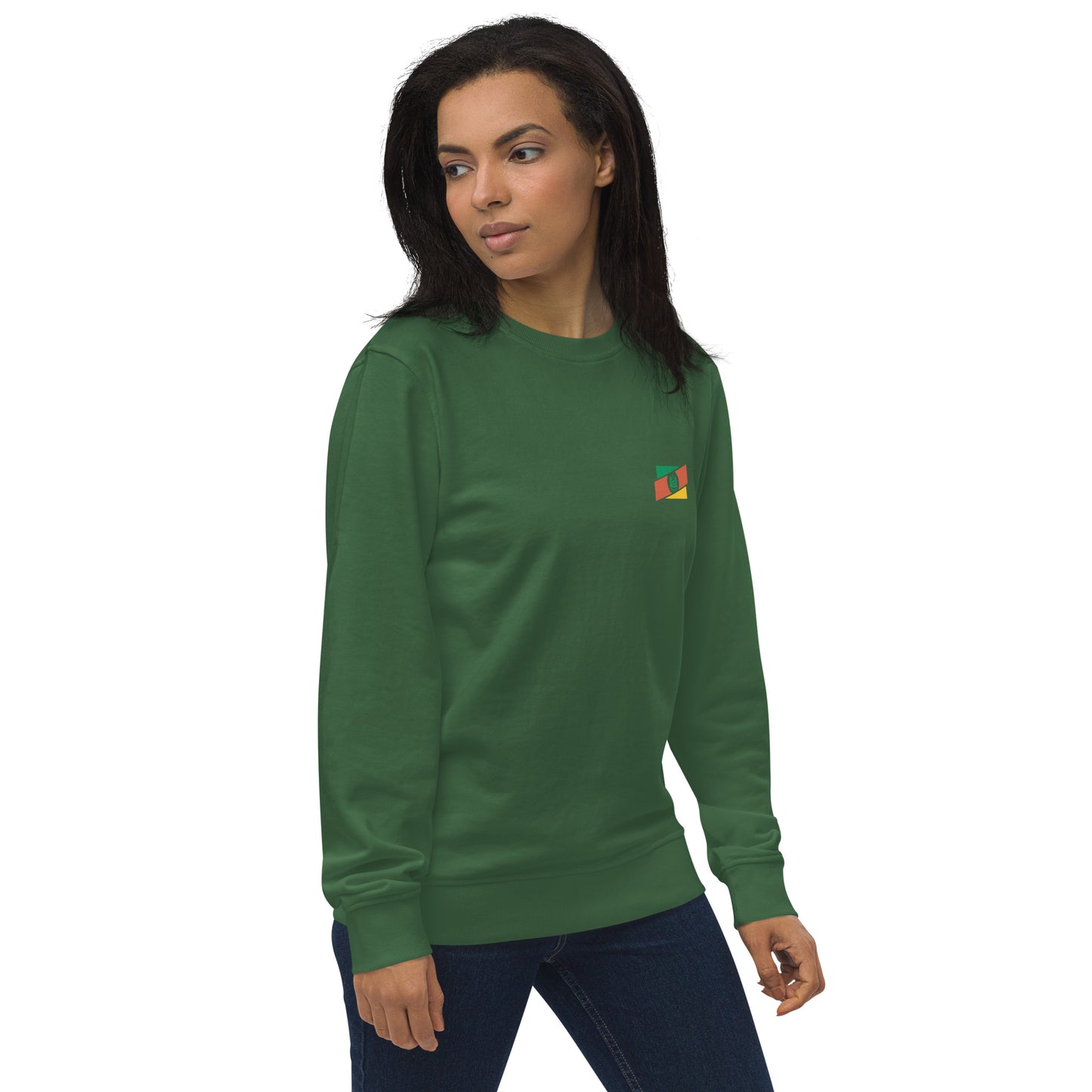 Blusa de Moletom-Suéter / Rio Grande do Sul - Brasil-RS - Gaúchos / unissex / orgânico Tri Legal - Roupa Regional Brasileira | Berimba