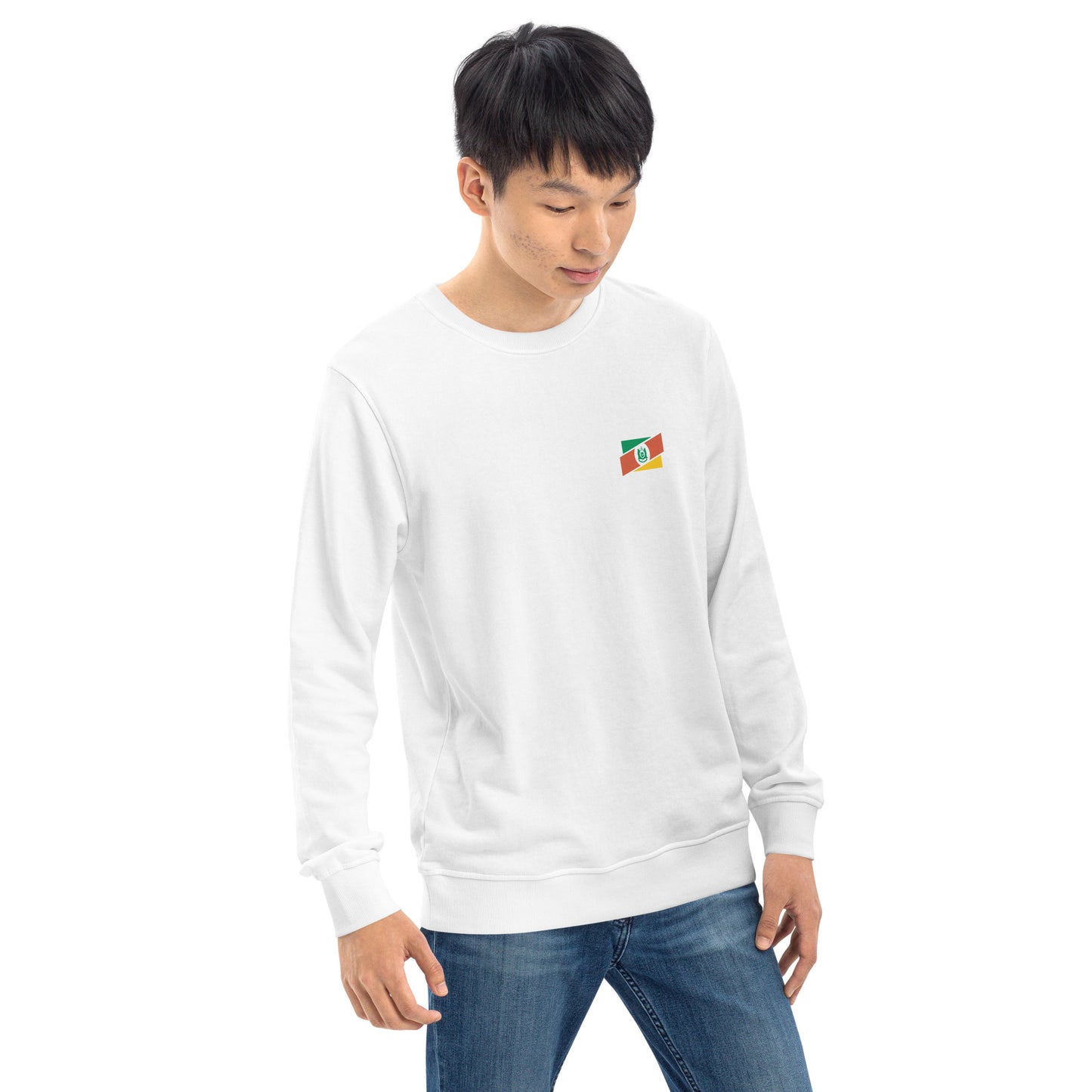 Blusa de Moletom-Suéter / Rio Grande do Sul - Brasil-RS - Gaúchos / unissex / orgânico Tri Legal - Roupa Regional Brasileira | Berimba