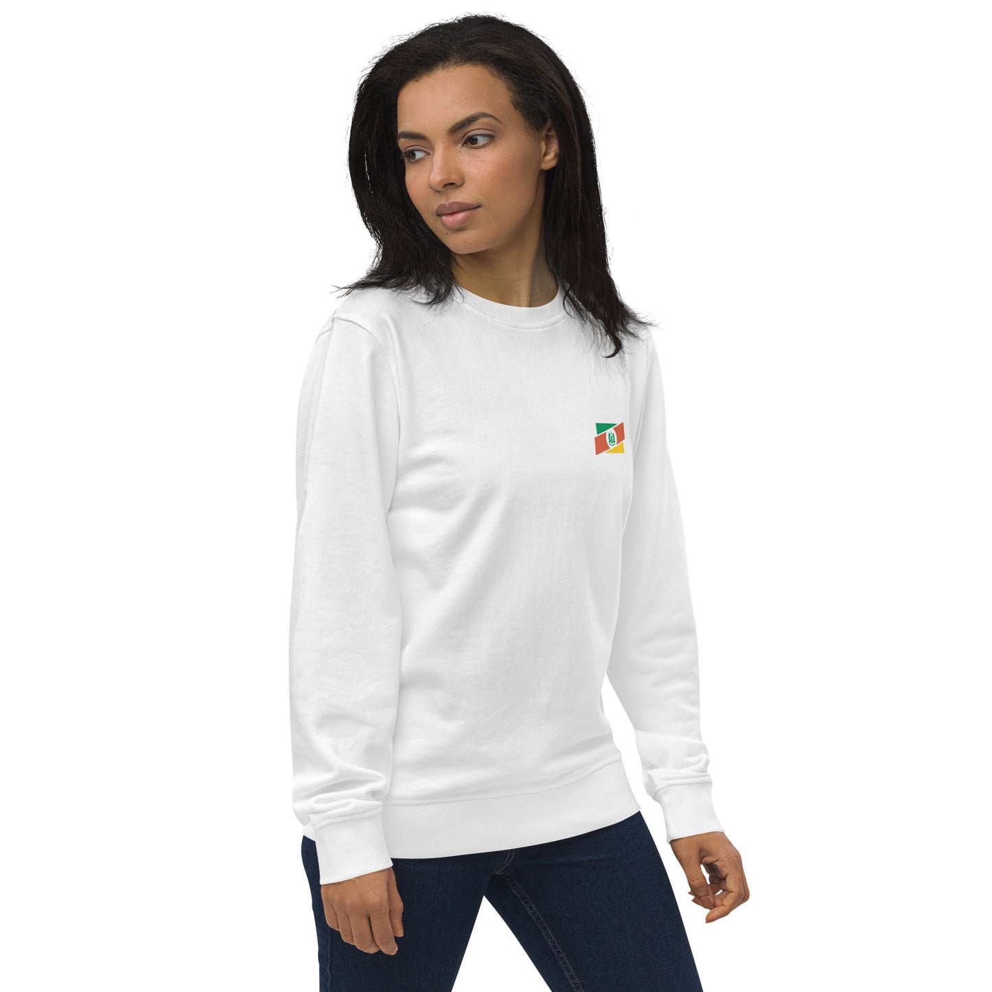 Blusa de Moletom-Suéter / Rio Grande do Sul - Brasil-RS - Gaúchos / unissex / orgânico Tri Legal - Roupa Regional Brasileira | Berimba